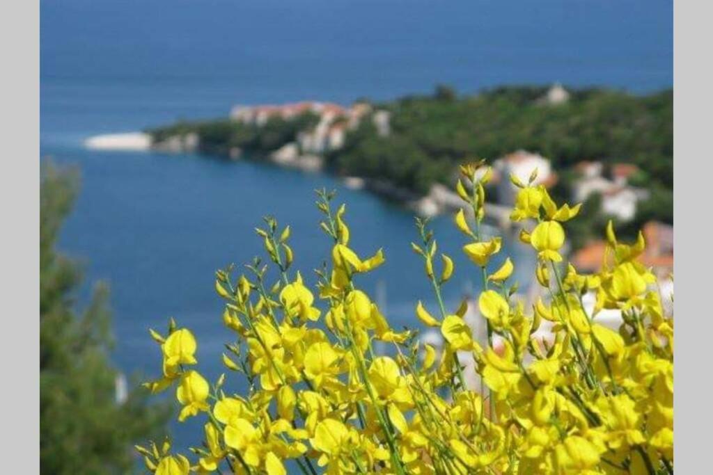 Seaview Apartment Sparkle Iskra - Povlja, Brac بوفليا المظهر الخارجي الصورة
